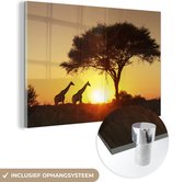MuchoWow® Glasschilderij 60x40 cm - Schilderij acrylglas - Giraffes - Zon - Boom - Schaduw - Foto op glas - Schilderijen