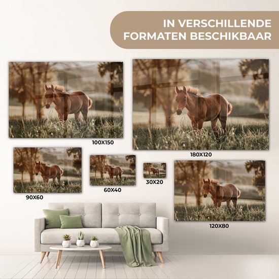 MuchoWow® Peinture sur verre - Cheval - Lumière - Prairie - 60x40 cm - Peintures sur verre acrylique - Photo sur Glas