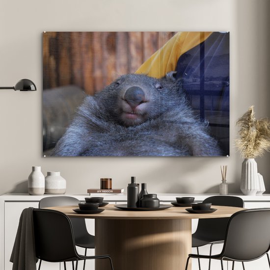 MuchoWow® Peinture sur verre 120x80 cm - Peinture sur verre acrylique - Gros plan wombat endormi - Photo sur verre - Peintures