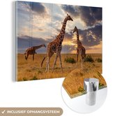 MuchoWow® Glasschilderij 30x20 cm - Schilderij acrylglas - Giraffes - Zon - Afrika - Foto op glas - Schilderijen