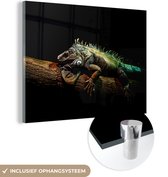 MuchoWow® Glasschilderij 80x60 cm - Schilderij acrylglas - Dier - Tak - Zwart - Foto op glas - Schilderijen