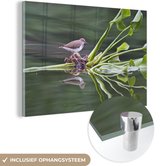 MuchoWow® Glasschilderij 60x40 cm - Schilderij acrylglas - Een oeverloper op een drijvende waterhyacint - Foto op glas - Schilderijen