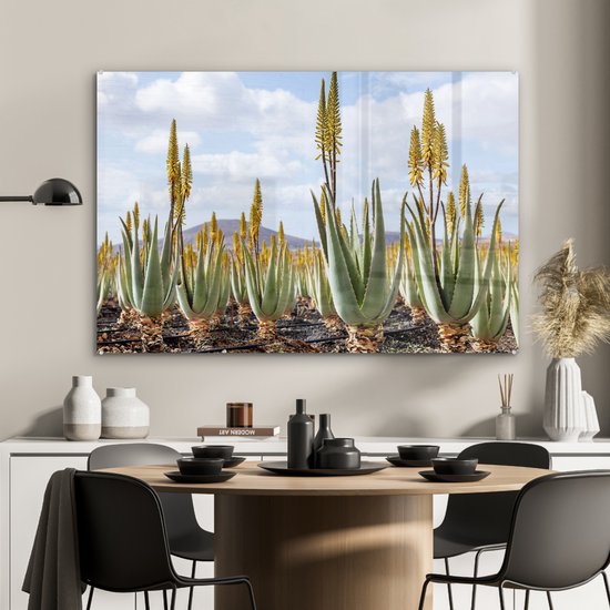 MuchoWow® Peinture sur verre 120x80 cm - Peinture sur verre acrylique - Plantes médicinales d'aloe vera sur Fuerteventura - Photo sur verre - Peintures