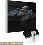 MuchoWow® Glasschilderij 20x20 cm - Schilderij acrylglas - Kolibrie - Vogel - Veren - Zwart - Foto op glas - Schilderijen