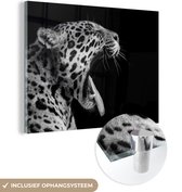 MuchoWow® Peinture sur Verre - Jaguar - Animal - Zwart - Wit - 120x90 cm - Peintures sur Verre Acrylique - Photo sur Glas