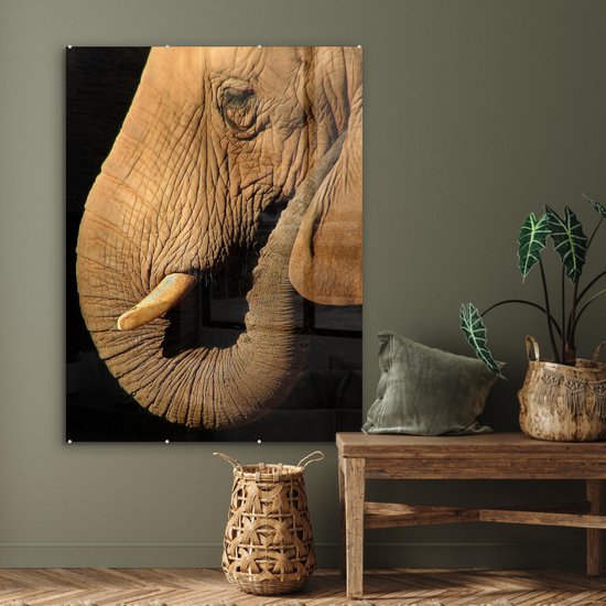 MuchoWow® Peinture sur verre 90x120 cm - Peinture sur verre acrylique - Éléphant - Animaux - Gros plan - Zwart - Photo sur verre - Peintures