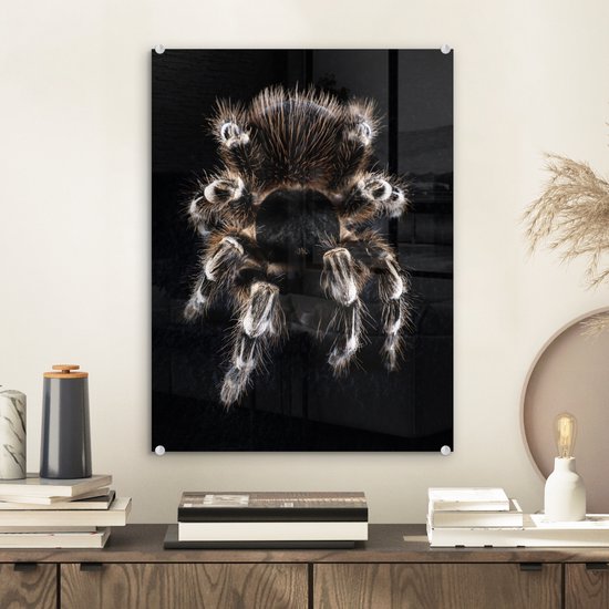MuchoWow® Peinture sur verre 30x40 cm - Peinture acrylique sur verre - Une tarentule - Photo sur verre - Peintures