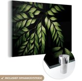MuchoWow® Glasschilderij 30x20 cm - Schilderij acrylglas - De vertakkingen van een varen tegen een zwarte achtergrond - Foto op glas - Schilderijen