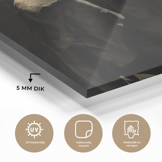 MuchoWow® Peinture sur verre 90x60 cm - Peinture sur verre acrylique - Éléphant - Boue - Animaux - Zwart - Photo sur verre - Peintures