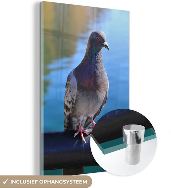 MuchoWow® Glasschilderij 120x180 cm - Schilderij acrylglas - Een prachtige duif bij een mooie rivier - Foto op glas - Schilderijen