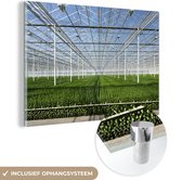 MuchoWow® Glasschilderij 90x60 cm - Schilderij glas - Groeiende chrysanthemums - Foto op acrylglas - Schilderijen