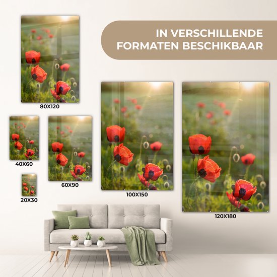 Coquelicots au soleil couchant plexiglas 40x60 cm - Tirage photo sur Glas (Décoration murale en plexiglas)