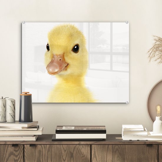 MuchoWow® Peinture sur verre 40x30 cm - Peinture sur verre acrylique - Canard - Poussin - Mignon - Enfants - Filles - Garçons - Photo sur verre - Peintures