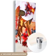 MuchoWow® Glasschilderij 20x40 cm - Schilderij acrylglas - Esdoorn - Bladeren - Landelijk - Herfst - Foto op glas - Schilderijen