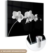 MuchoWow® Glasschilderij 40x30 cm - Schilderij acrylglas - Orchidee - Bloemen - Zwart - Roze - Knoppen - Foto op glas - Schilderijen