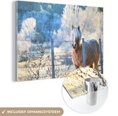 MuchoWow® Glasschilderij 30x20 cm - Schilderij acrylglas - Paard - Winter - Sneeuw - Foto op glas - Schilderijen