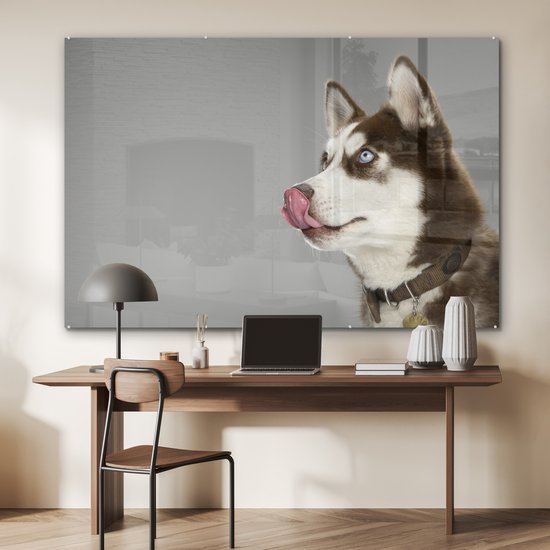 MuchoWow® Peinture sur verre - Husky - Animal - Lécher - 180x120 cm - Peintures sur verre acrylique - Photo sur Glas