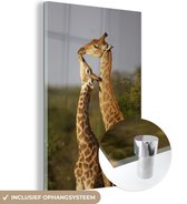 MuchoWow® Glasschilderij 60x90 cm - Schilderij acrylglas - Giraf - Afrika - Boom - Foto op glas - Schilderijen