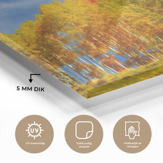 MuchoWow® Peinture sur verre 180x120 cm - Peinture sur verre - Peupliers colorés en automne - Photo sur verre acrylique - Peintures
