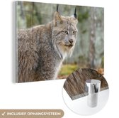MuchoWow® Glasschilderij 60x40 cm - Schilderij acrylglas - Lynx - Bos - Grijs - Foto op glas - Schilderijen