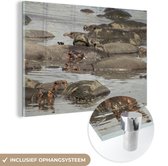 MuchoWow® Glasschilderij 150x100 cm - Schilderij acrylglas - Nijlpaard - Vijver - Foto op glas - Schilderijen