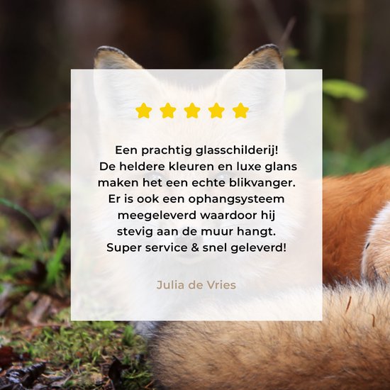 MuchoWow® Peinture sur verre - Renard - Forêt - Animal - 150x100 cm - Peintures sur verre acrylique - Photo sur Glas