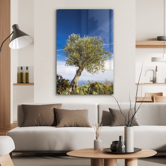 MuchoWow® Glasschilderij 80x120 cm - Schilderij acrylglas - Een olijfboom onder een blauwe lucht - Foto op glas - Schilderijen