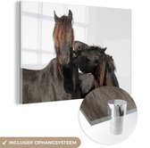MuchoWow® Glasschilderij 60x40 cm - Schilderij acrylglas - Paarden - Vacht - Wit - Foto op glas - Schilderijen