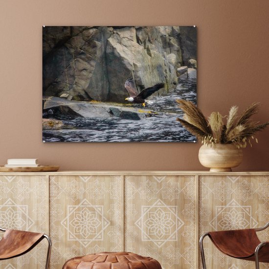 MuchoWow® Peinture sur verre 80x60 cm - Peinture sur verre acrylique - Pygargue à queue blanche près des rochers du Cap Breton - Photo sur verre - Peintures