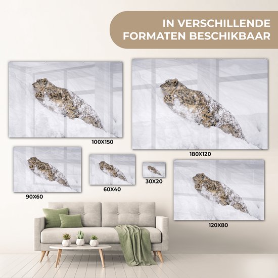 Peinture sur Verre - Léopard des Neiges - Neige - Jaune - 180x120 cm - Peintures sur Verre Peintures - Photo sur Glas