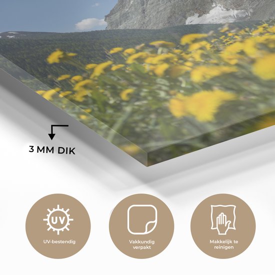 Le Cervin en Suisse au-dessus d'une prairie de pissenlit Plexiglas 40x30 cm - petit - Tirage photo sur verre (décoration murale en plexiglas)
