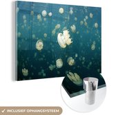 MuchoWow® Glasschilderij 120x80 cm - Schilderij acrylglas - Kwal - Oceaan - Water - Foto op glas - Schilderijen