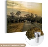 MuchoWow® Glasschilderij 120x80 cm - Schilderij acrylglas - Olifanten die de weg kruisen in het Nationale Park van Kruger Zuid-Afrika - Foto op glas - Schilderijen