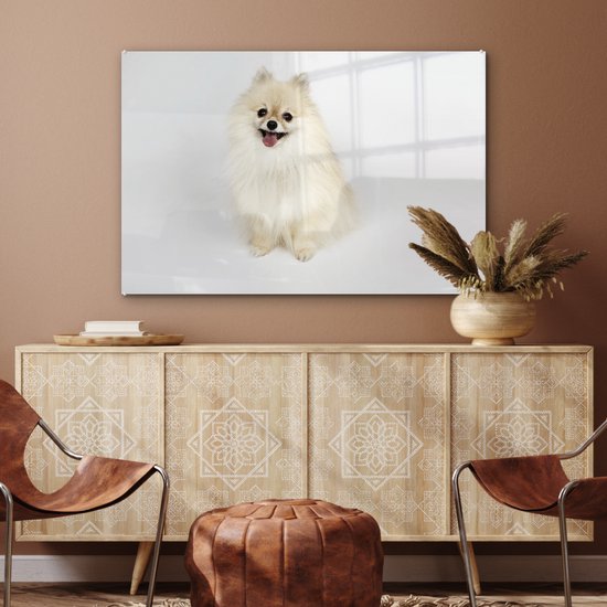 MuchoWow® Peinture sur verre 90x60 cm - Peinture acrylique sur verre - Poméranien joyeux - Photo sur verre - Peintures