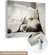 MuchoWow® Glasschilderij 160x120 cm - Schilderij acrylglas - Slapende labrador puppy - Foto op glas - Schilderijen