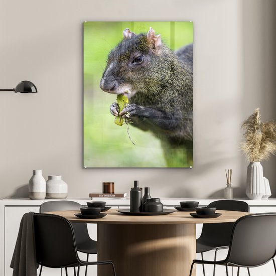 MuchoWow® Peinture sur Verre - Manger agouti - 60x80 cm - Peintures sur Verre Acrylique - Photo sur Glas