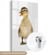 MuchoWow® Peinture sur Verre - Bébé Canard Regardant Ailleurs - 120x180 cm - Peintures sur Verre Acrylique - Photo sur Glas