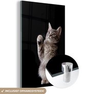 MuchoWow® Glasschilderij 40x60 cm - Schilderij acrylglas - Siberische kitten - Foto op glas - Schilderijen