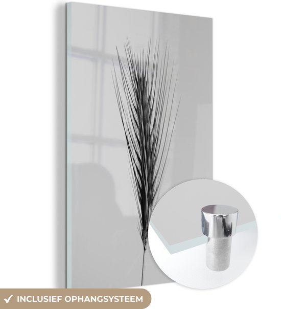 MuchoWow® Peinture sur verre 80x120 cm - Peinture sur verre acrylique - Plantes - Roseau - Nature - Zwart et blanc - Photo sur verre - Peintures