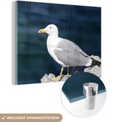 MuchoWow® Glasschilderij 80x60 cm - Schilderij acrylglas - Meeuw - Stenen - Zee - Foto op glas - Schilderijen