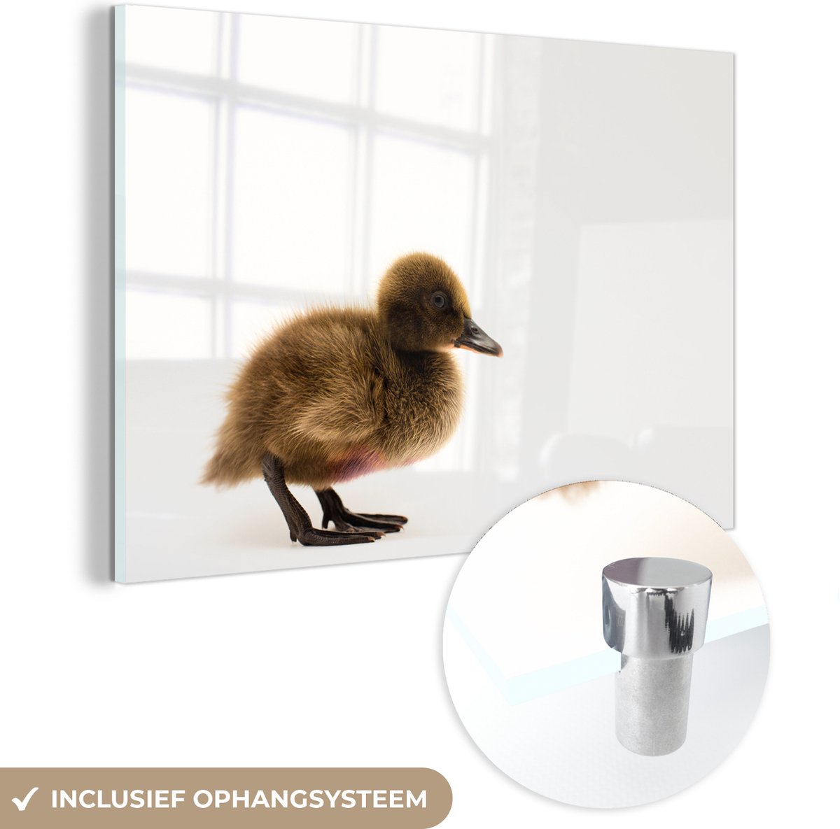 ® Glasschilderij 90x60 cm - Schilderij acrylglas - Portret van een baby eend - Foto op glas - Muurdecoratie woonkamer - Wanddecoratie slaapkamer - Schilderijen