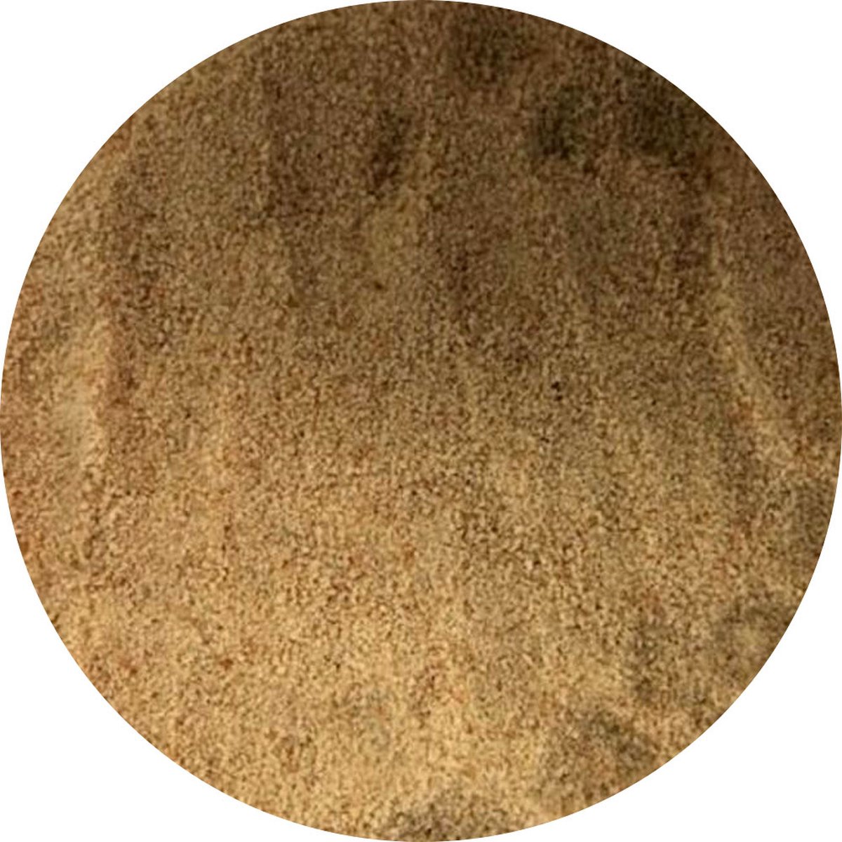 Goedkoopste Van Beekum Specerijen - Paneer Beschuit - 10 KG - Zak (bulk verpakking