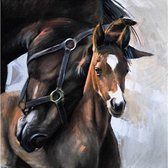 Diamond Painting Paard met veulen 50x50cm. (Volledige bedekking - Vierkante steentjes) diamondpainting inclusief tools