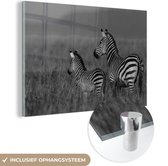 MuchoWow® Glasschilderij 30x20 cm - Schilderij acrylglas - Moeder en baby zebra - zwart wit - Foto op glas - Schilderijen
