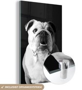 MuchoWow® Peinture sur verre 40x60 cm - Peinture sur verre - Portrait d'un bouledogue anglais - noir et blanc - Photo sur verre acrylique - Peintures