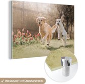MuchoWow® Glasschilderij 120x80 cm - Schilderij acrylglas - Honden - Zon - Lente - Foto op glas - Schilderijen