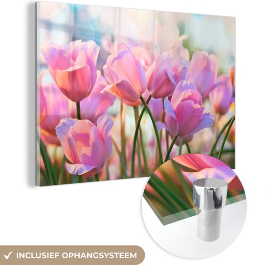 MuchoWow® Glasschilderij 150x100 cm - Schilderij acrylglas - Tulpen - Roze - Lente - Foto op glas - Schilderijen