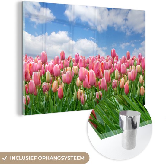 Peinture sur verre - Couleurs - Tulipes - Printemps - 30x20 cm - Peintures Plexiglas