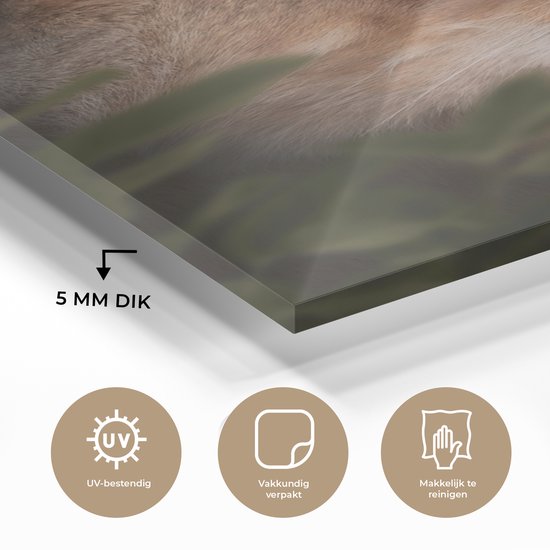 Peinture sur Verre - Lion - Jungle - Oranje - 100x150 cm - Peintures sur Verre Peintures - Photo sur Glas