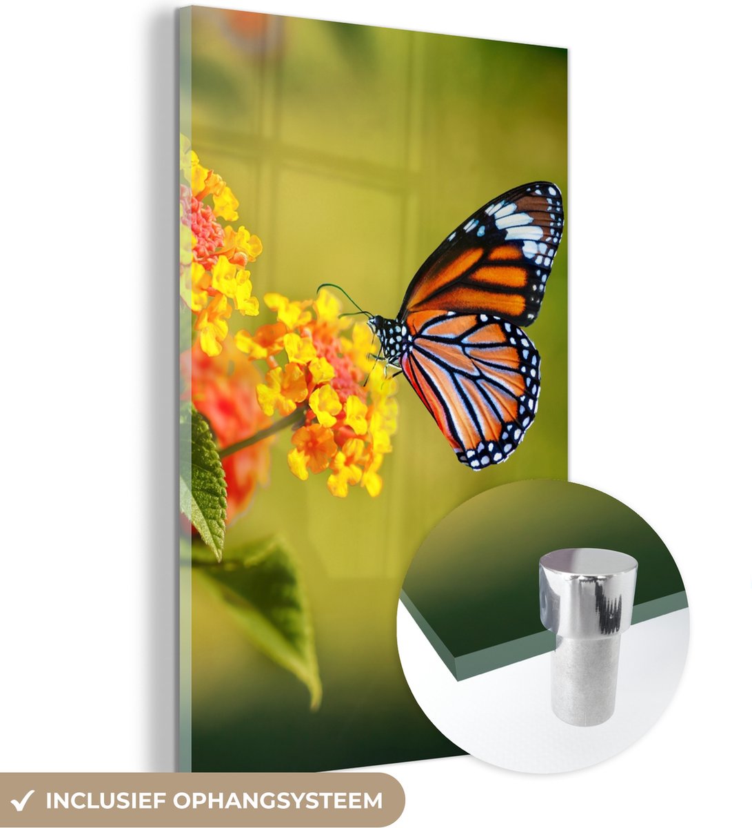 MuchoWow - Glasschilderij - Foto op glas - Vlinders - Bloemen - Natuur - Oranje - Acrylverf - 120x180 cm - Glasschilderij natuur - Glasschilderij vlinder - Decoratie woonkamer - Schilderij glas